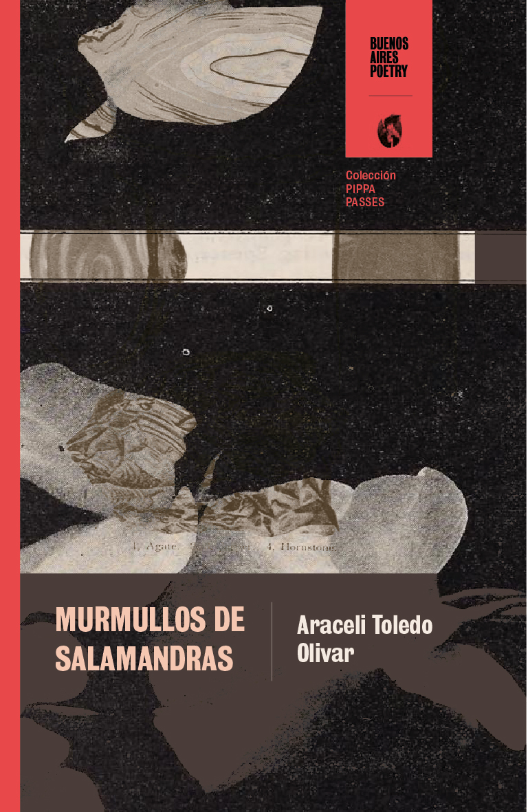 Murmullos de Salamandras_portada-05